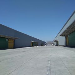 Excelente Bodega, San Bernardo